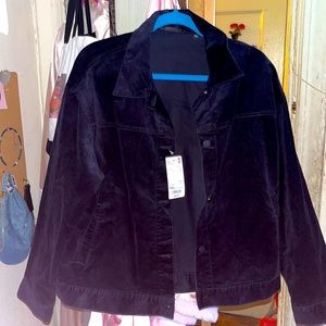 Beautiful Navy Blue Corduroy Jacket